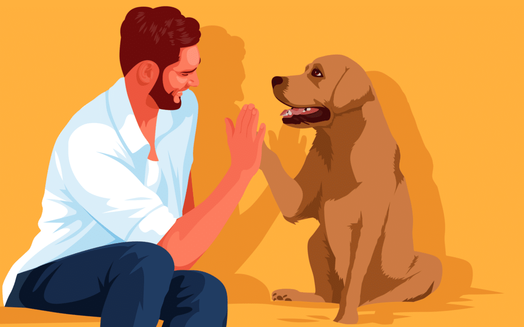 How Can Pets Affect Mental Health?