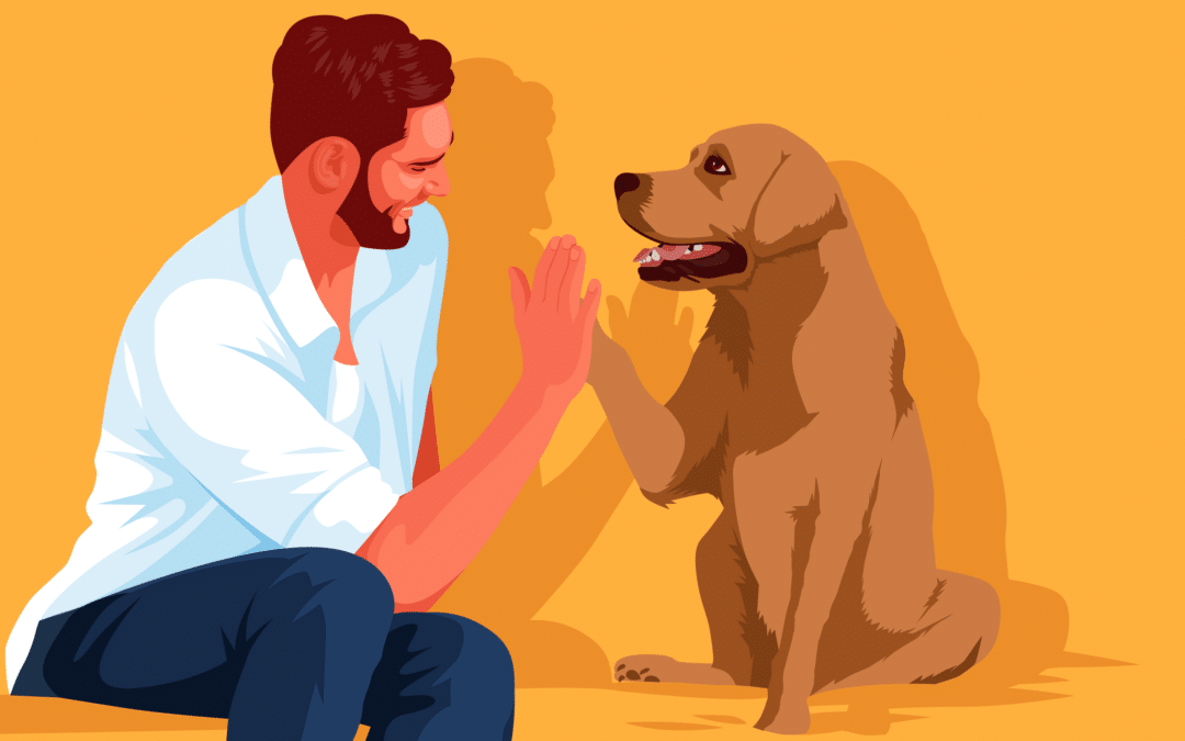 How Can Pets Affect Mental Health New Roads