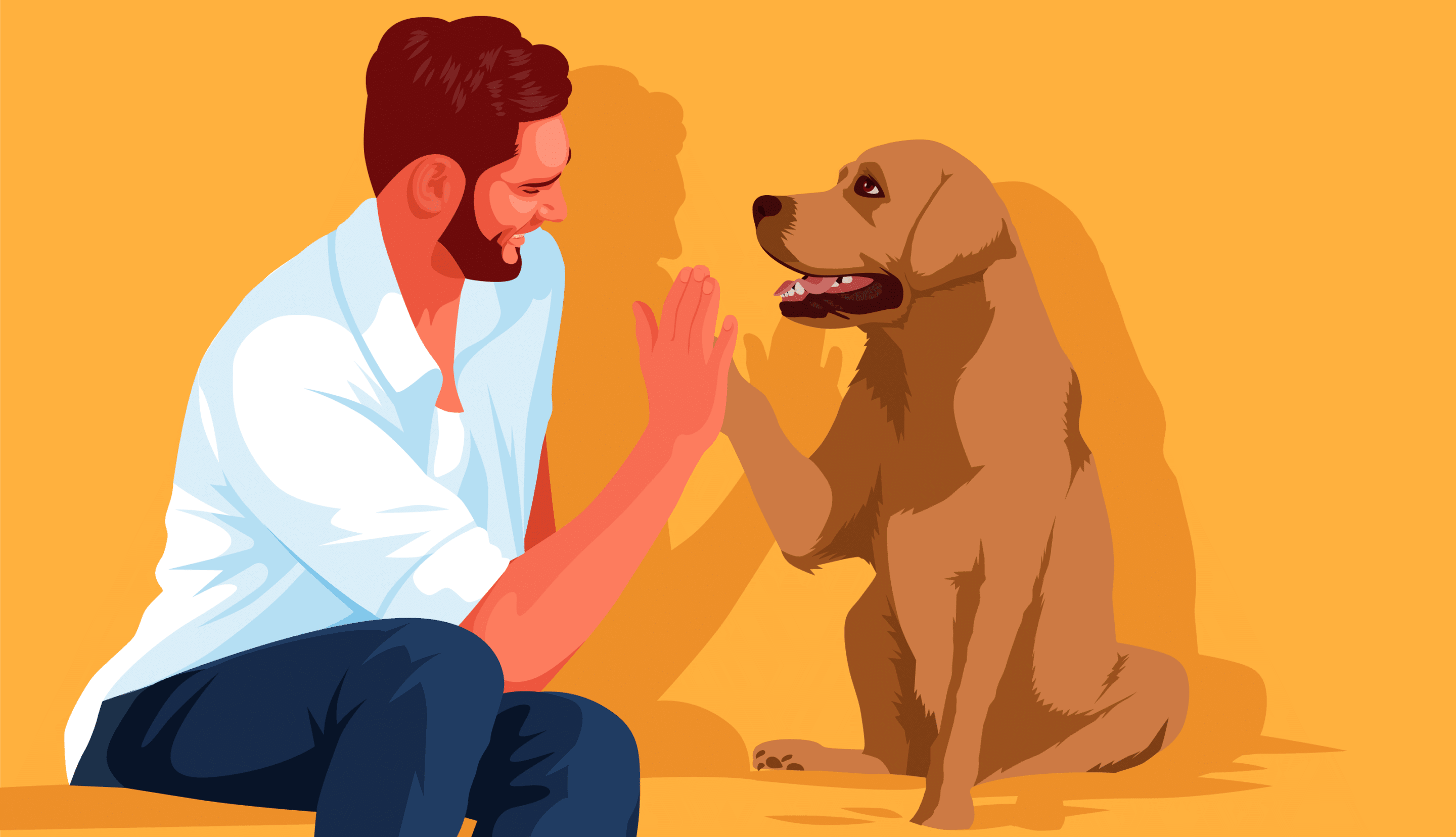 How Can Pets Affect Mental Health New Roads